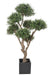 Kunstig Olivier Cloud Bonsai For Innendørs 235 Cm