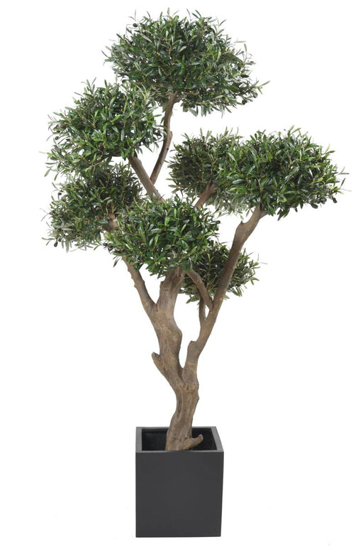 Kunstig Olivier Cloud Bonsai For Innendørs 235 Cm