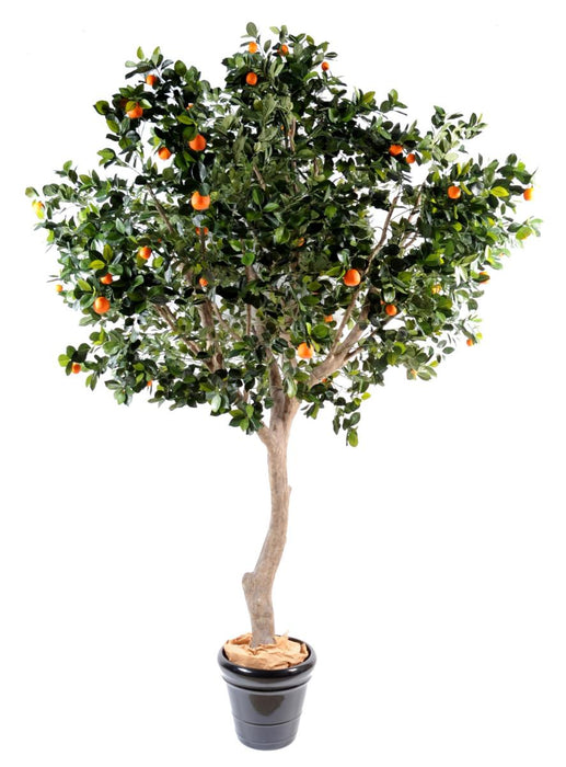 Artificial Orange Tree 280Cm For Innendørs Grønn Orange