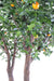 Artificial Orange Tree Dobbel 340Cm For Innendørs