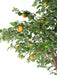 Artificial Orange Tree Dobbel 340Cm For Innendørs