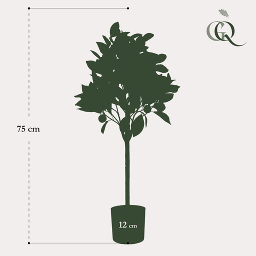 Orange Tree Artificial Plant - H75Cm, Ø12Cm