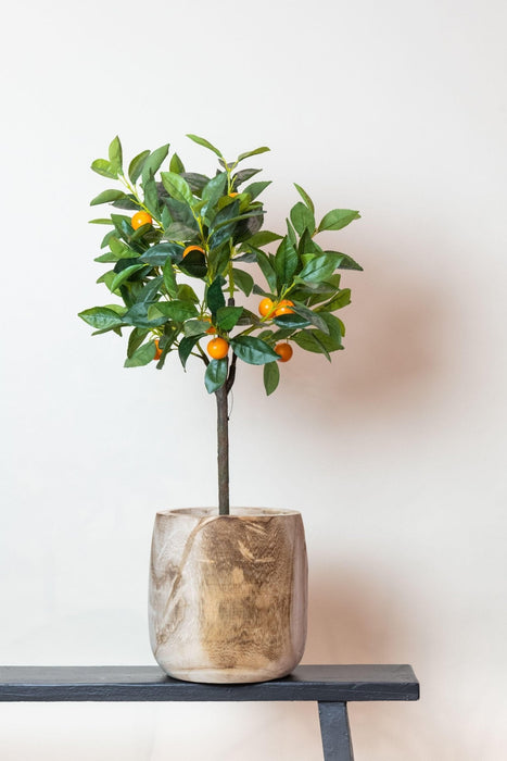 Orange Tree Artificial Plant - H75Cm, Ø12Cm