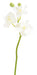 Kunstig Phalaenopsis Orchid 3 Blomster Hvit 45 Cm