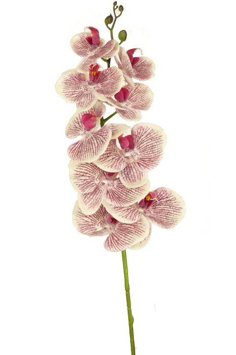 Artificial Orchid Real Touch Deluxe Fuchsia/Hvit