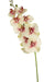 Real Touch Deluxe Artificial Orchid Rosa/Hvit