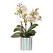 Lausanne White Orchid + Turkis Stripe Pot