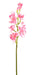 Kunstig Cymbidium Orchid 100Cm Rosa