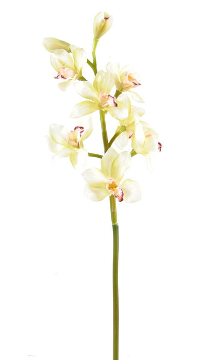 Kunstig Cymbidium Orchid Cream 100Cm