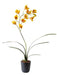 Kunstig Cymbidium Orchid Gul 80Cm