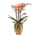 Orange Orchid And Its Golden Face Planter - Blomstrende Potteplante