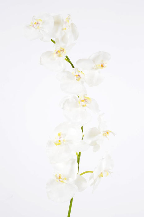 Kunstig Phalaenopsis Orchid 10 Blomster 160 Cm Hvit