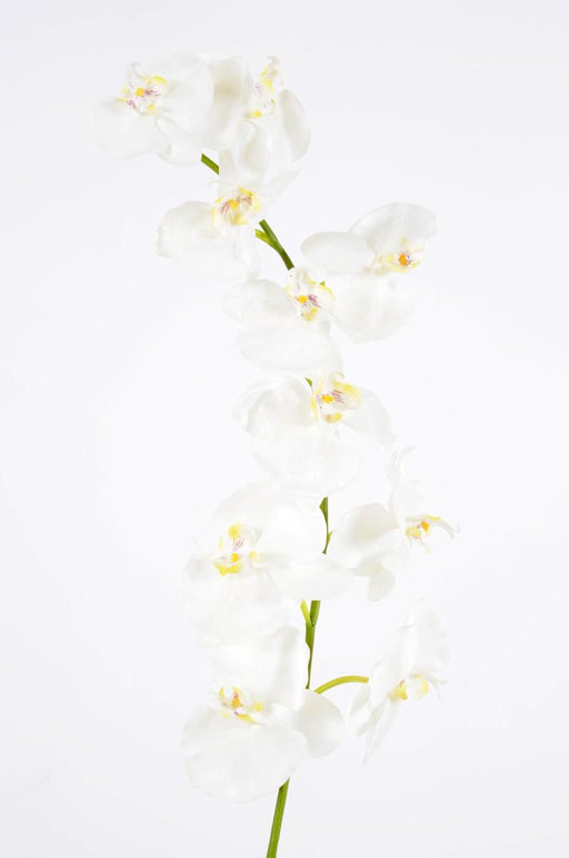 Kunstig Phalaenopsis Orchid 10 Blomster 160 Cm Hvit