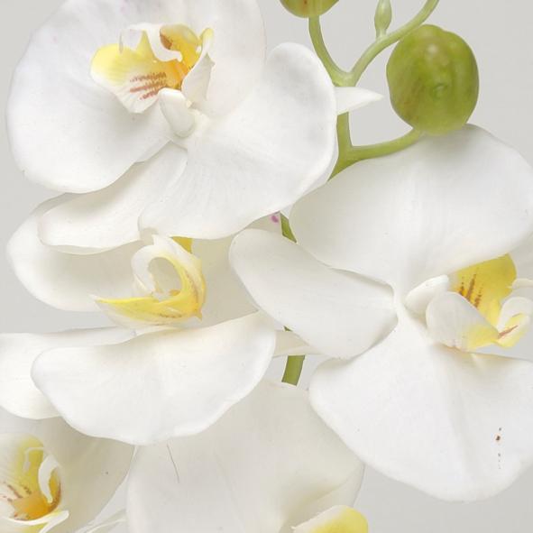 Kunstig Phalaenopsis Orchid 100Cm Hvit Blomst