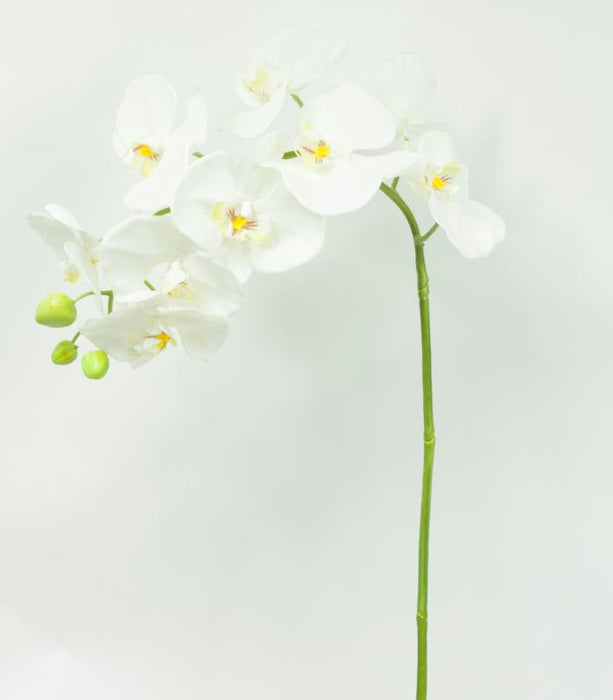 Kunstig Phalaenopsis Orchid 100Cm Hvit Blomst