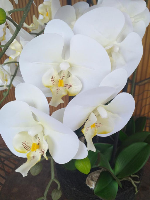 Kunstig Phalaenopsis Orchid 110 Cm Krem