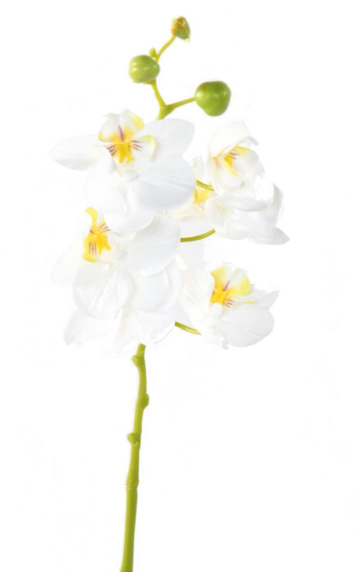 Kunstig Phalaenopsis Orchid 60 Cm Hvit 6 Blomster