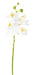 Kunstig Phalaenopsis Orchid 60 Cm Hvit 6 Blomster