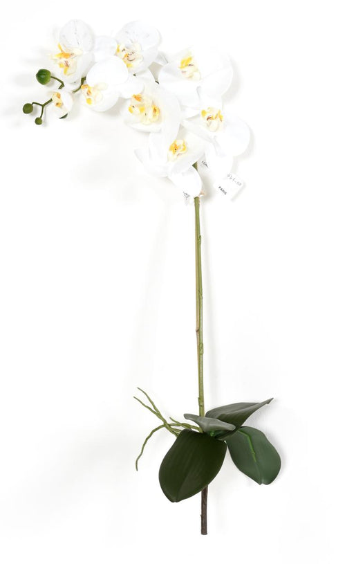 Kunstig Phalaenopsis Orchid 76 Cm Hvit