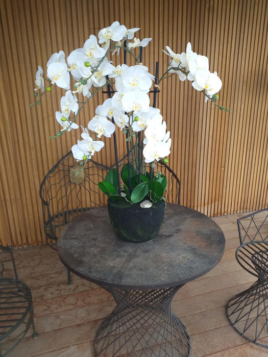 Kunstig Phalaenopsis Orchid 85Cm Krem