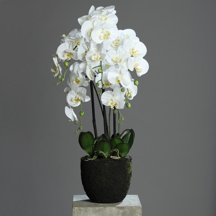 Kunstig Phalaenopsis Orchid 85Cm Krem