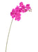 Kunstig Phalaenopsis Orchid 9 Fuchsia Blomster 98Cm