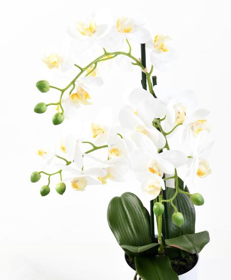 Kunstig Phalaenopsis Orkidé Med Hvit Potte 60Cm