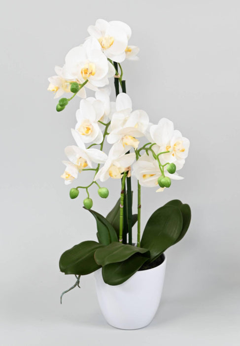 Kunstig Phalaenopsis Orkidé Med Hvit Potte 60Cm