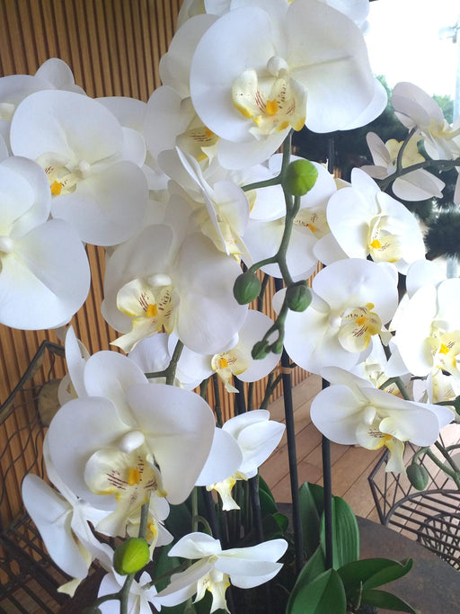 Kunstig Phalaenopsis Orchid H77Cm Krem