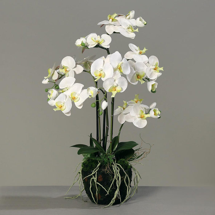 Kunstig Phalaenopsis Orchid H77Cm Krem