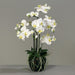 Kunstig Phalaenopsis Orchid H77Cm Krem