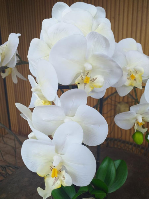 Kunstig Phalaenopsis Orchid H.55 Cm Krem