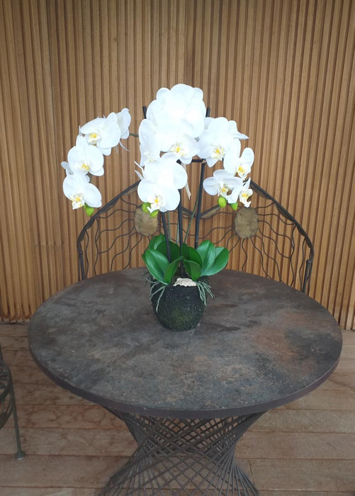 Kunstig Phalaenopsis Orchid H.55 Cm Krem