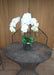 Kunstig Phalaenopsis Orchid H.55 Cm Krem