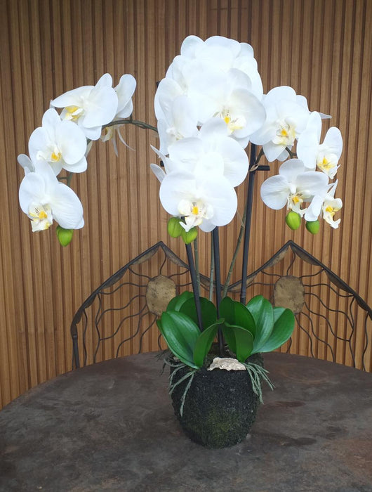 Kunstig Phalaenopsis Orchid H.55 Cm Krem