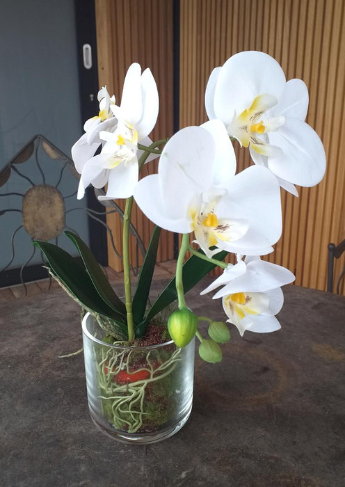 Artificial Phalaenopsis Orchid Glass Pot 42Cm Cream