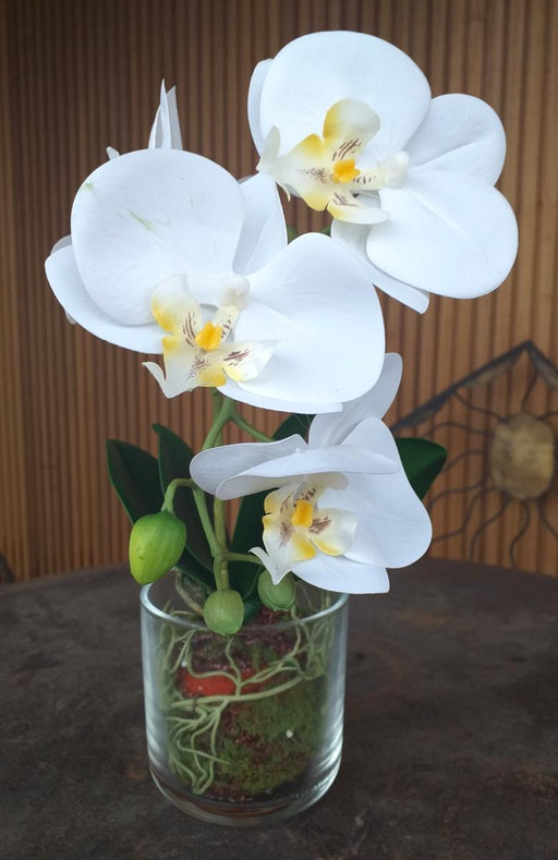 Artificial Phalaenopsis Orchid Glass Pot 42Cm Cream