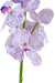 Kunstig Vanda Orchid 60Cm Lilla Hvit