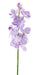 Kunstig Vanda Orchid 60Cm Lilla Hvit