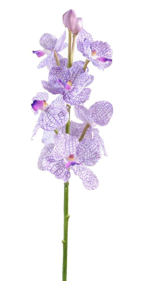 Kunstig Vanda Orchid 60Cm Lilla Hvit