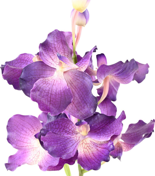 Kunstig Vanda Orchid Lilla 70 Cm Dekor