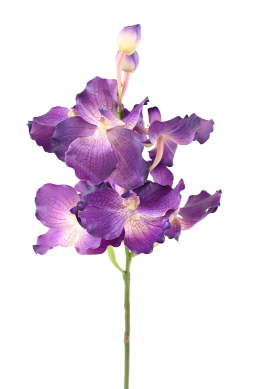 Kunstig Vanda Orchid Lilla 70 Cm Dekor