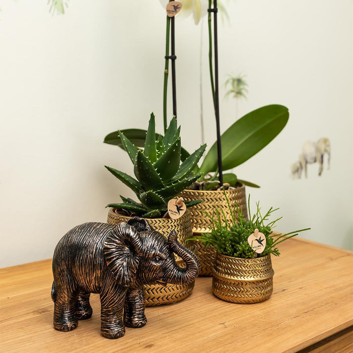 Black Elephant Ornament - Home Decoration