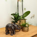 Black Elephant Ornament - Home Decoration