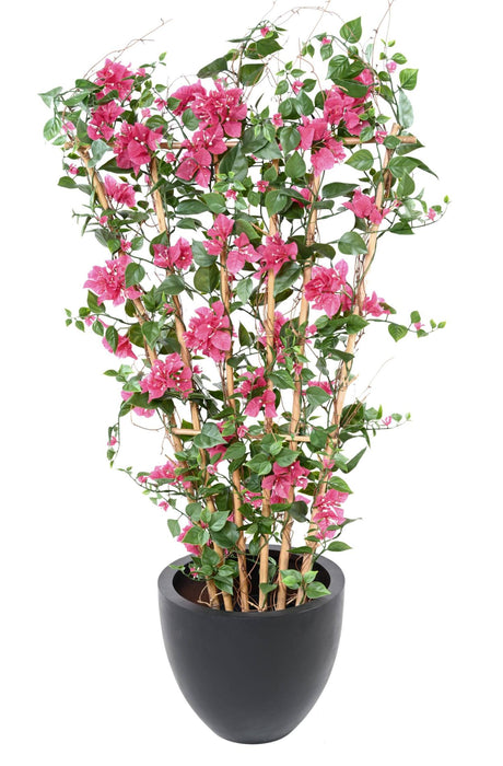 Bougainvillea Flower Palisade H140Cm Fuchsia Anti-Uv