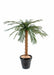 Kunstig Cycas Palmetre 140 Cm Innendørs Plante