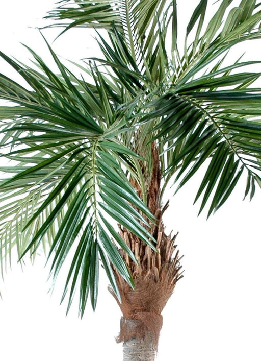 Kunstig Palm Tree Majesty 320 Cm Luksus Grønn