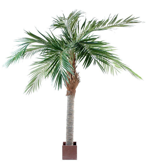 Kunstig Palm Tree Majesty 320 Cm Luksus Grønn