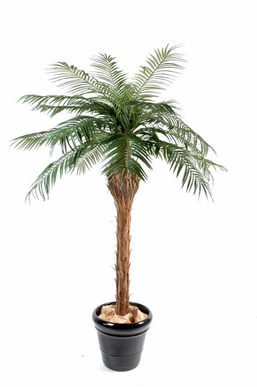 Kunstig Phoenix Palm Tree 150 Cm For Innendørs