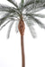 Kunstig Phoenix Palm Tree 340 Cm For Utendørs